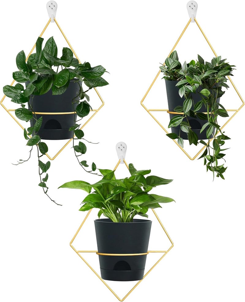 Koalaime 3 Sets Wall Planters for Indoor Plants Geometric Hanging Planters for Indoor Plants - Self-Watering Flower Pots with Black Metal Holder, Mounted Succulent Planter, 5" Black Plant Pot - Image 1